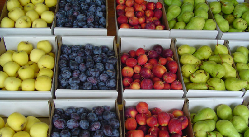 Krajowe owoce droższe od importowanych