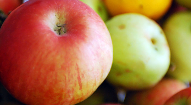 Eksport jabłek w tym roku dwukrotnie mniejszy