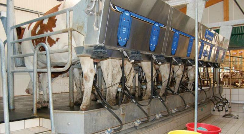 Nowelizacja ustawy o rynku mleka