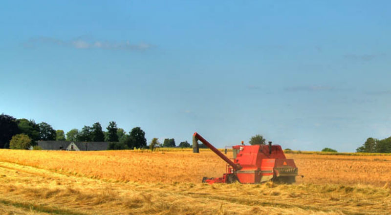 Produkcja zbóż w Europie nie wygląda źle